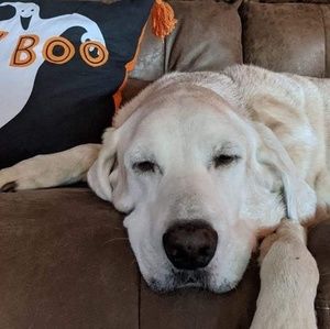 Meet your Posher, Brian